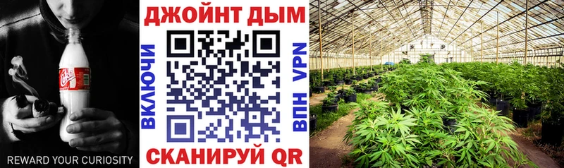 Где купить Богородицк Каннабис  АМФЕТАМИН  COCAIN  omg tor  ГАШ  Мефедрон  СК  ГЕРОИН 