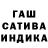 Каннабис OG Kush Cody Collinsworth