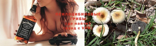 СК Абаза
