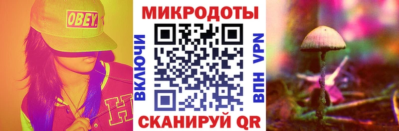 ОМГ ОМГ tor  Богородицк  Псилоцибиновые грибы ЛСД  где купить наркотик 